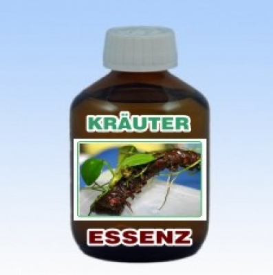 Kräuter Essenz